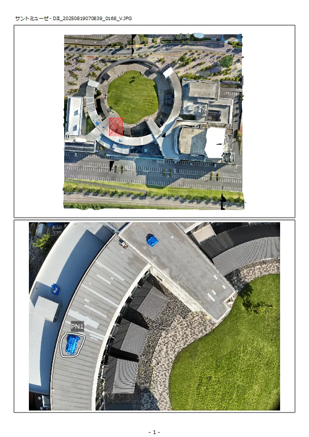 Example report (photo ledger) reflecting the ortho overview and measurement results